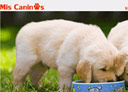Plantilla web, pagina de perros.